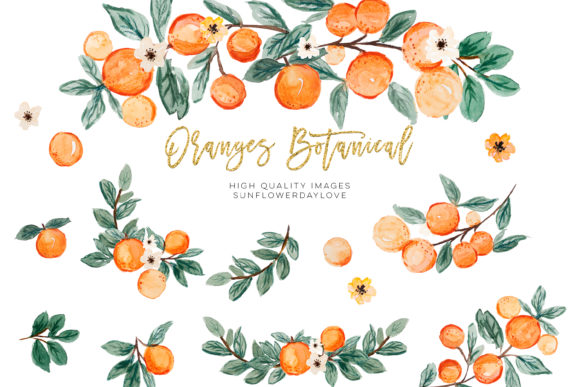 Download Orange Summer Clipart, Citrus Clipart - Citrus clipart Collection