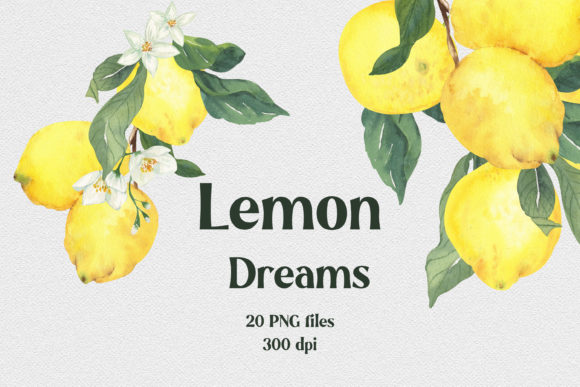 Download Lemon Dreams Watercolor Citrus Clipart - Citrus clipart Collection