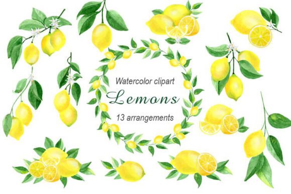 Download Watercolor Lemon Clipart Citrus Clipart - Citrus clipart Collection